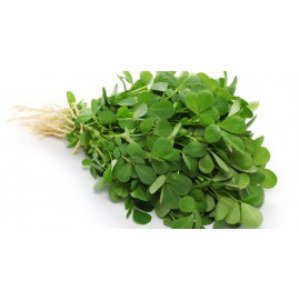 Methi