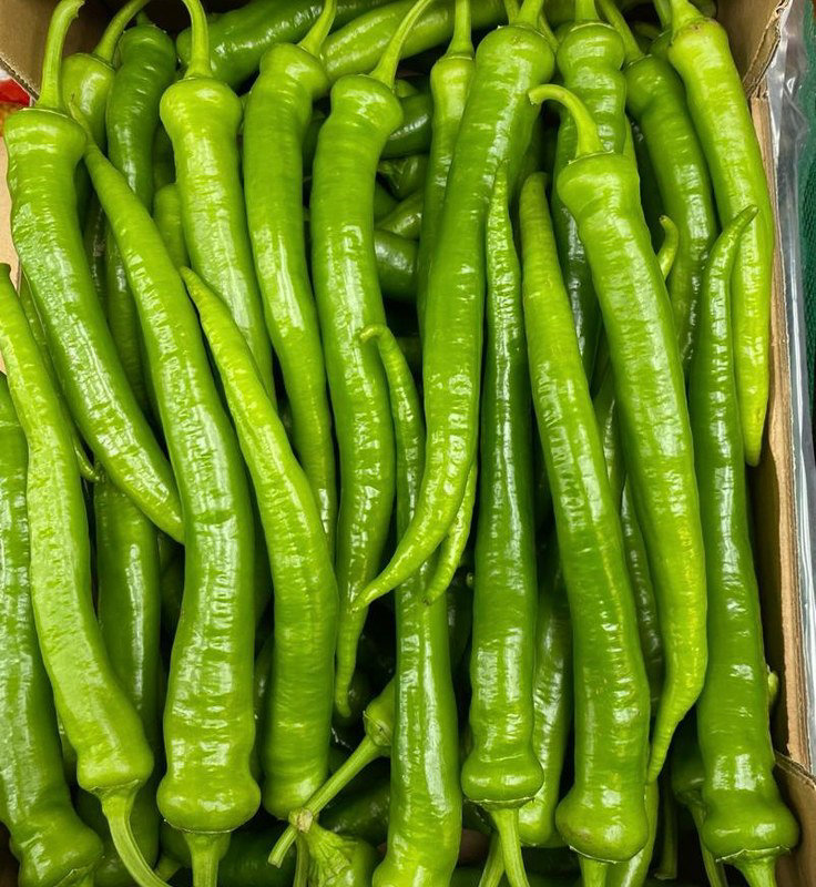 Fresh Long Chillies 500g