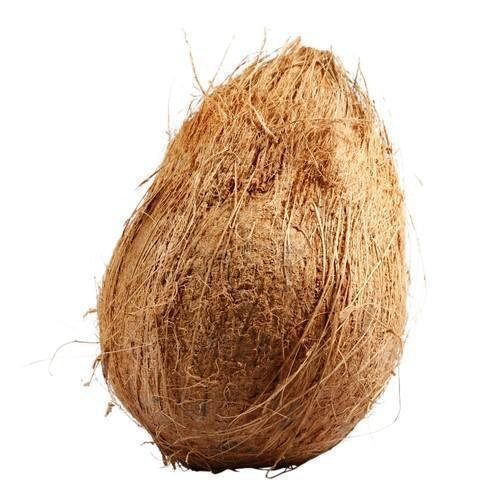 Fresh Coconut (with water inside) Single Piece