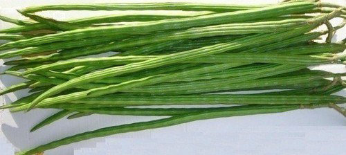 Indian drumstick (Moringa - single piece)