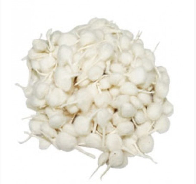 Top-Op Diva Vaat Round (100 pcs)